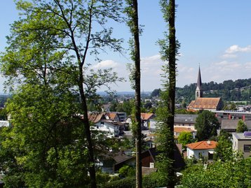 24. Unteres Rheintal - Schwarzach image-16148