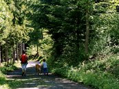 07. Erholungsquelle Wald image-54352