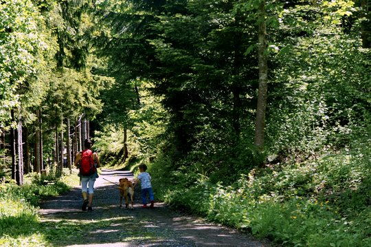 07. Erholungsquelle Wald 07. Erholungsquelle Wald