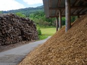 20. Holz als Brennstoff image-54341