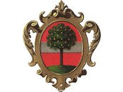 Wappen Dornbirn image-51046