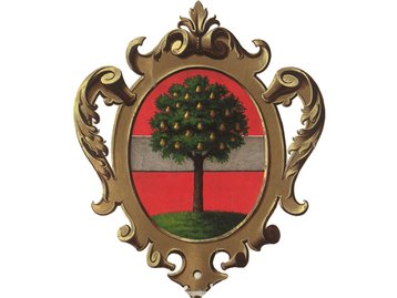 Wappen Dornbirn image-50859
