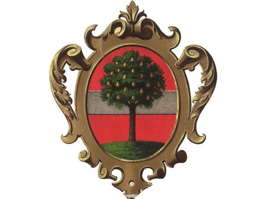 Wappen Dornbirn image-75788