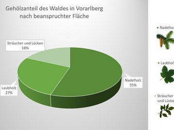 01a. Gehölzerverteilung nach beanspruchter Fläche image-54228