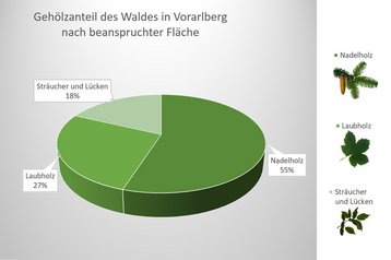 01a. Gehölzerverteilung nach beanspruchter Fläche image-54262