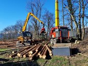 10. Nutzwald image-54355