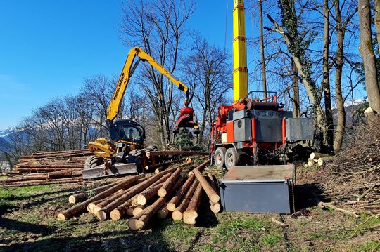 10. Nutzwald 10. Nutzwald