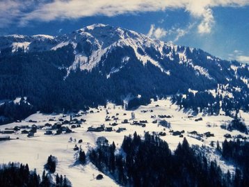 07. Bannwald und Lawinenverbauung image-6984