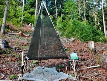 18. Schädlingsbekämpfung image-54251