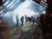 08. Heustockbrand image-5953