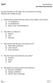 ABL_Kleine_Baumkunde_Quiz_Verschiedenes
