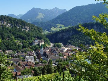 04. Feldkirch von oben image-3276
