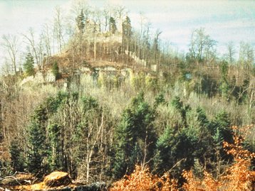 22. Ruine Neuburg (Koblach) image-5606