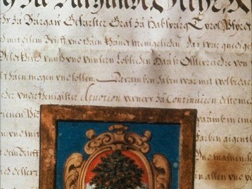 61. Wappenbrief der Gemeinde Dornbirn image-5645