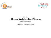 Titelbild image-67918