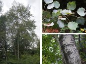 14. Espe image-67933