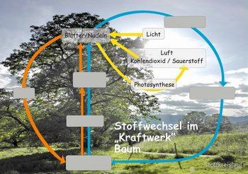 23_Stoffkreislauf-gelb-webbearb