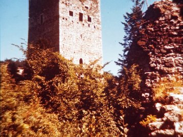 53. Burg Tosters image-5249