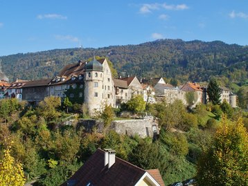 04. Unteres Rheintal - Bregenz Oberstadt image-16110