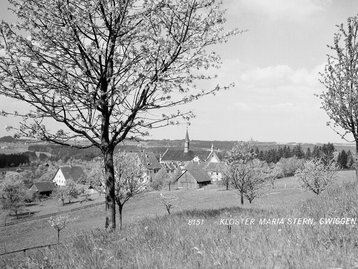 11. Hohenweiler - Gwiggen image-5409