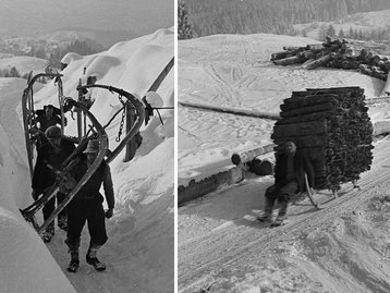 14a. Historische Holzbringung: Schlitten (Foto: Franz Beer - Stadtarchiv Dornbirn) image-54247
