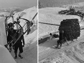 14a. Historische Holzbringung: Schlitten (Foto: Franz Beer - Stadtarchiv Dornbirn) image-54333