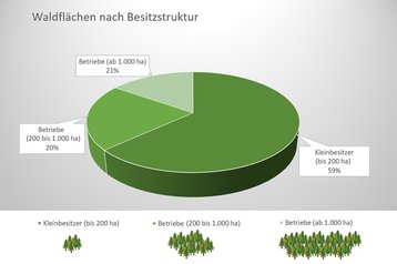 02b. Waldverteilung nach Besitzstruktur image-54265