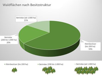 02b. Waldverteilung nach Besitzstruktur image-54231