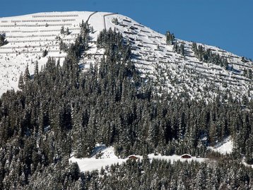 13. Bannwald und Lawinenverbauung image-2408