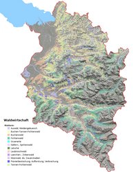 Waldkarte-hochformat-Titelseite