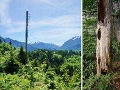 17. Habitate image-54338