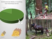 40. Vorarlberg-Material: Forstwirtschaft image-67961