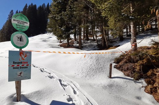 16. Interessenskonflikt Sport-Wald-Wild 16. Interessenskonflikt Sport-Wald-Wild