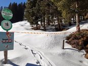 16. Interessenskonflikt Sport-Wald-Wild image-54361