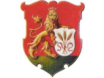 Wappen Lustenau image-50868