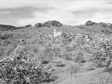 02. Fraxern image-2012