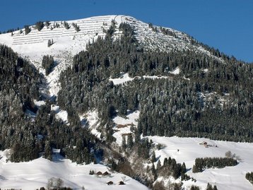 66. Lawinenverbauung image-5578