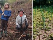 05. Aufforstung image-54324