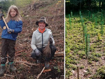 05. Aufforstung image-54234