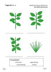 ABL_Kleine_Baumkunde_Trage_ein_2_Blattbeschreibung