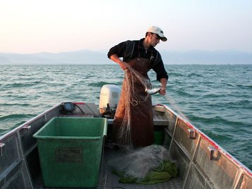 27. Fischer beim Fang image-2254