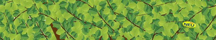 Slider-Panorama-Laubbaum-grafisch-1920x360-mit-2024Button