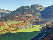 b. Luftbild Schnepfau image-59854