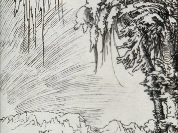 45. Ansicht der Stadt Feldkirch image-5629