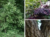 17. Holder image-67936