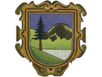 a. Wappen von Hittisau image-59772