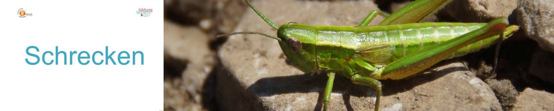 30a_Schrecken-Panorama-quer