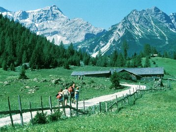 12. Zalimtal - Untere Zalimalpe image-4953