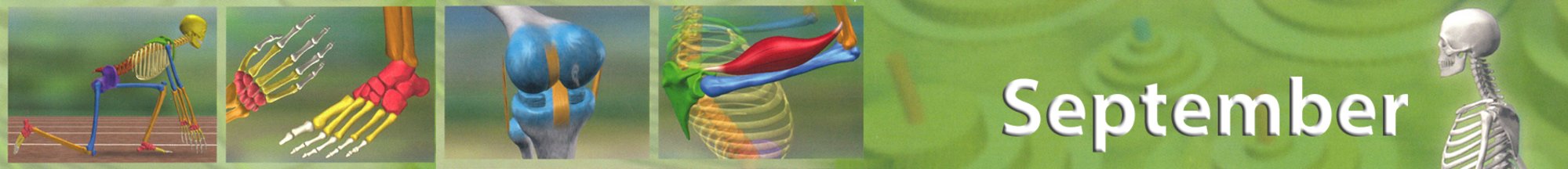 Slider_Bildungsmedien_September_20_einzeilig