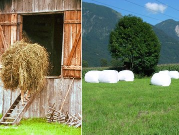 42. Heuernte image-5554